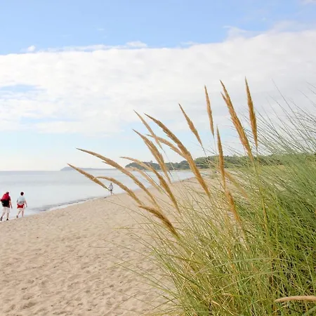 Nah Am Meer, Ruhige Lage, Gratis Nutzung Vom Ahoi Erlebnisbad Und Sauna In Sellin - Haus Buednerstube 5 *